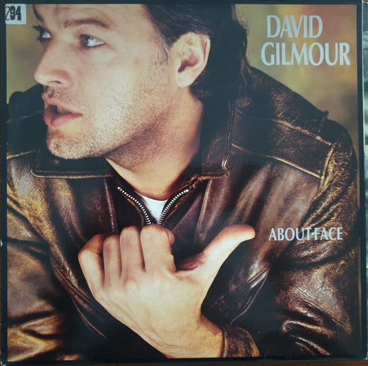 David Gilmour - About Face