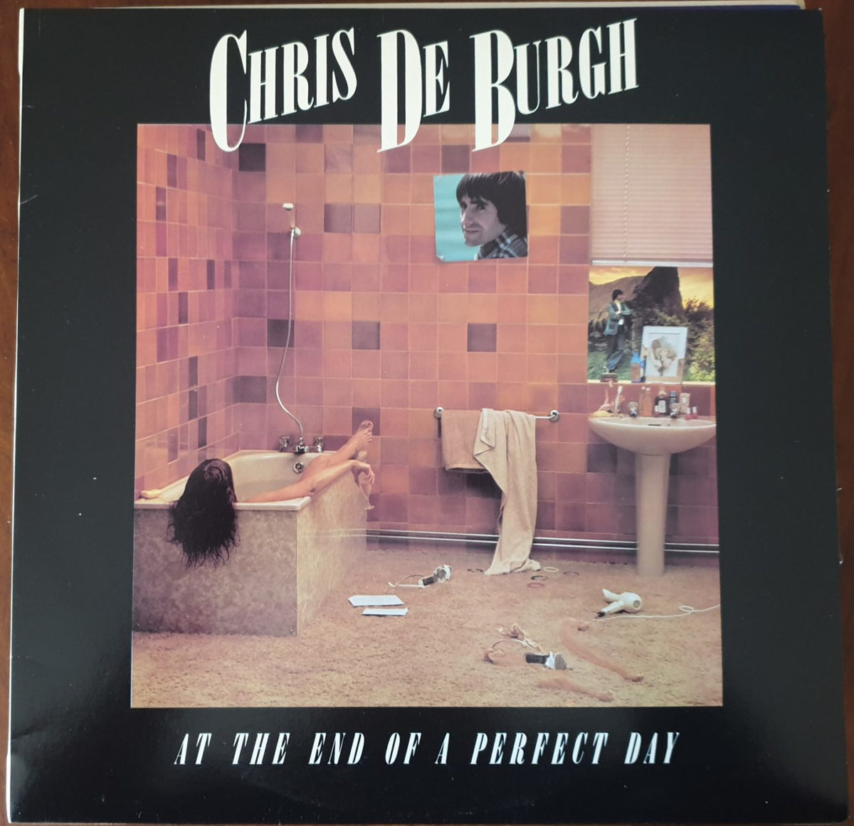Chris de Burgh - At The End of a Perfect Day