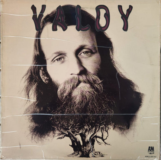 Valdy – Country Man