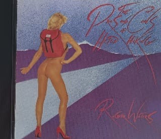 Roger Waters – The Pros And Cons Of Hitch Hiking (CD)