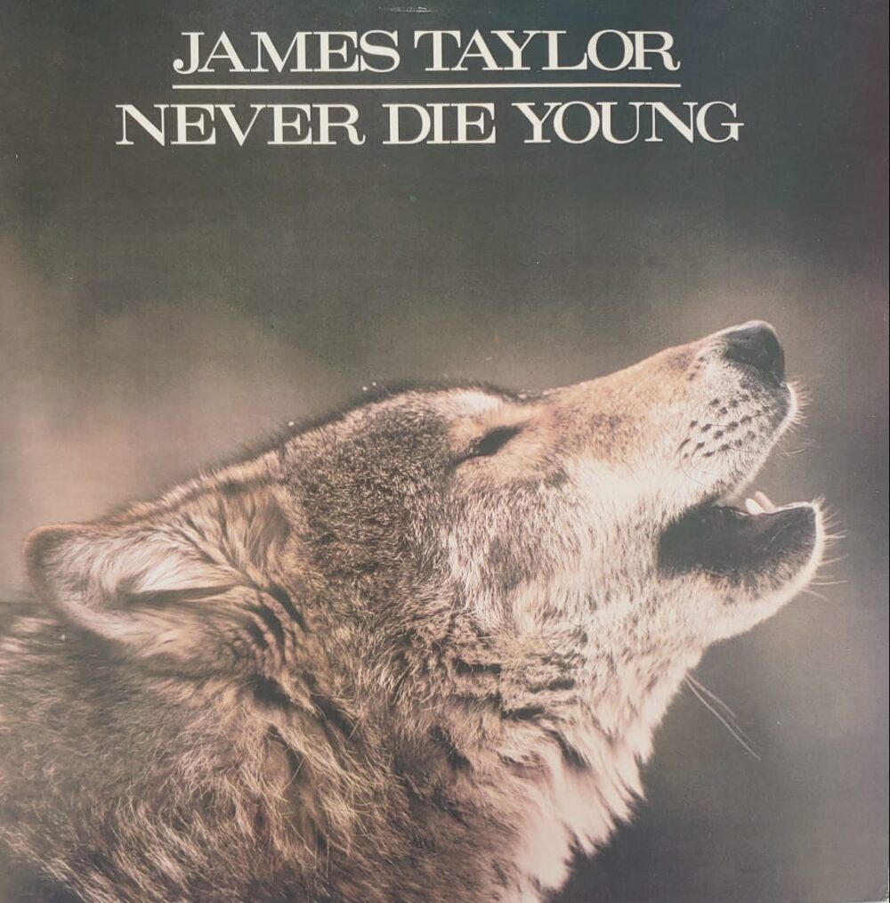 James Taylor - Never Die Young