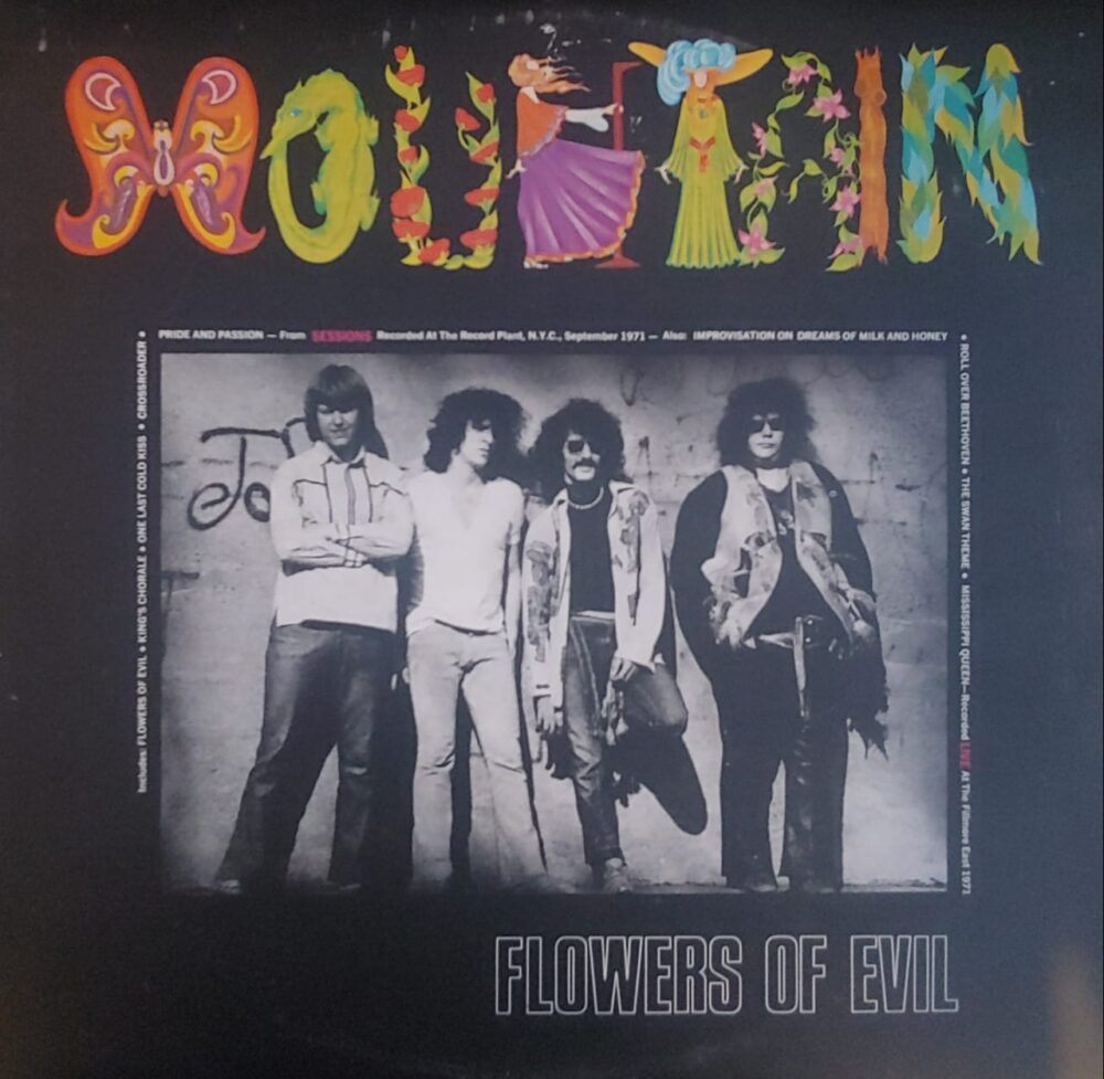 Mountain - Flowers of Evil