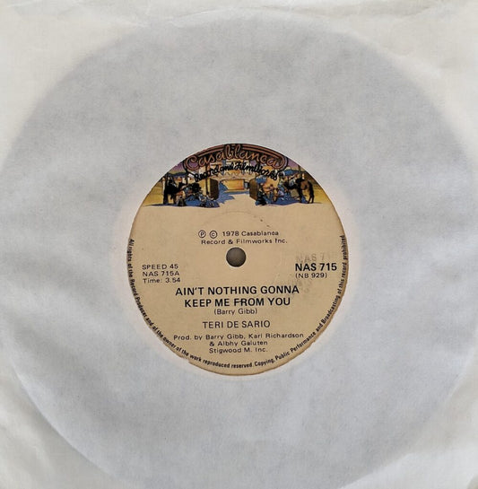 Teri De Sario – Ain't Nothing Gonna Keep Me From You 7"