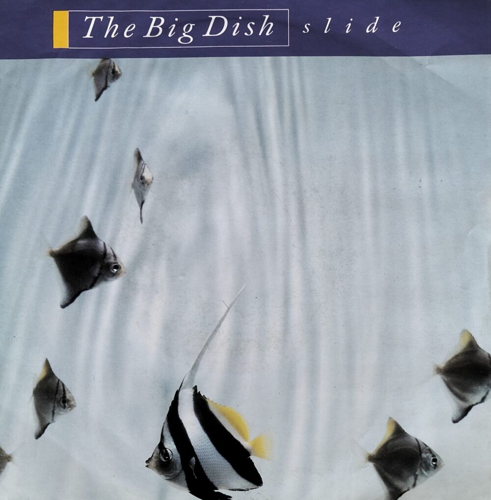 The Big Dish – Slide 7"