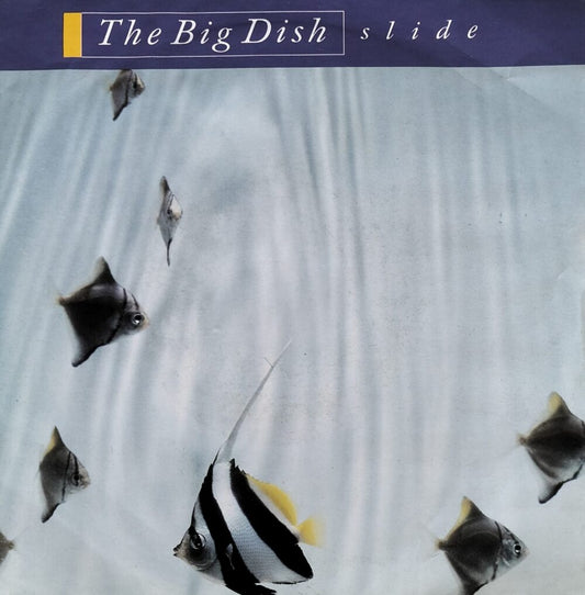 The Big Dish – Slide 7"