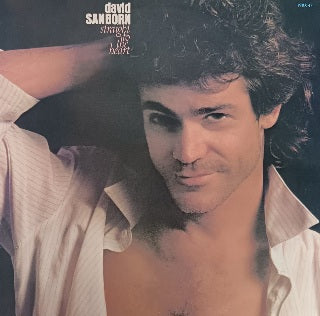 David Sanborn – Straight To The Heart