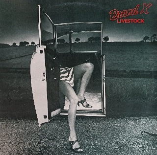 Brand X – Livestock