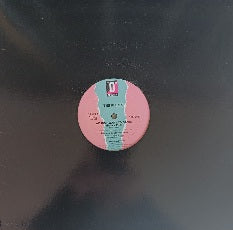 The Flirts – We Just Want To Dance 12"