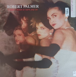 Robert Palmer – I Didn't Mean To Turn You On 12"