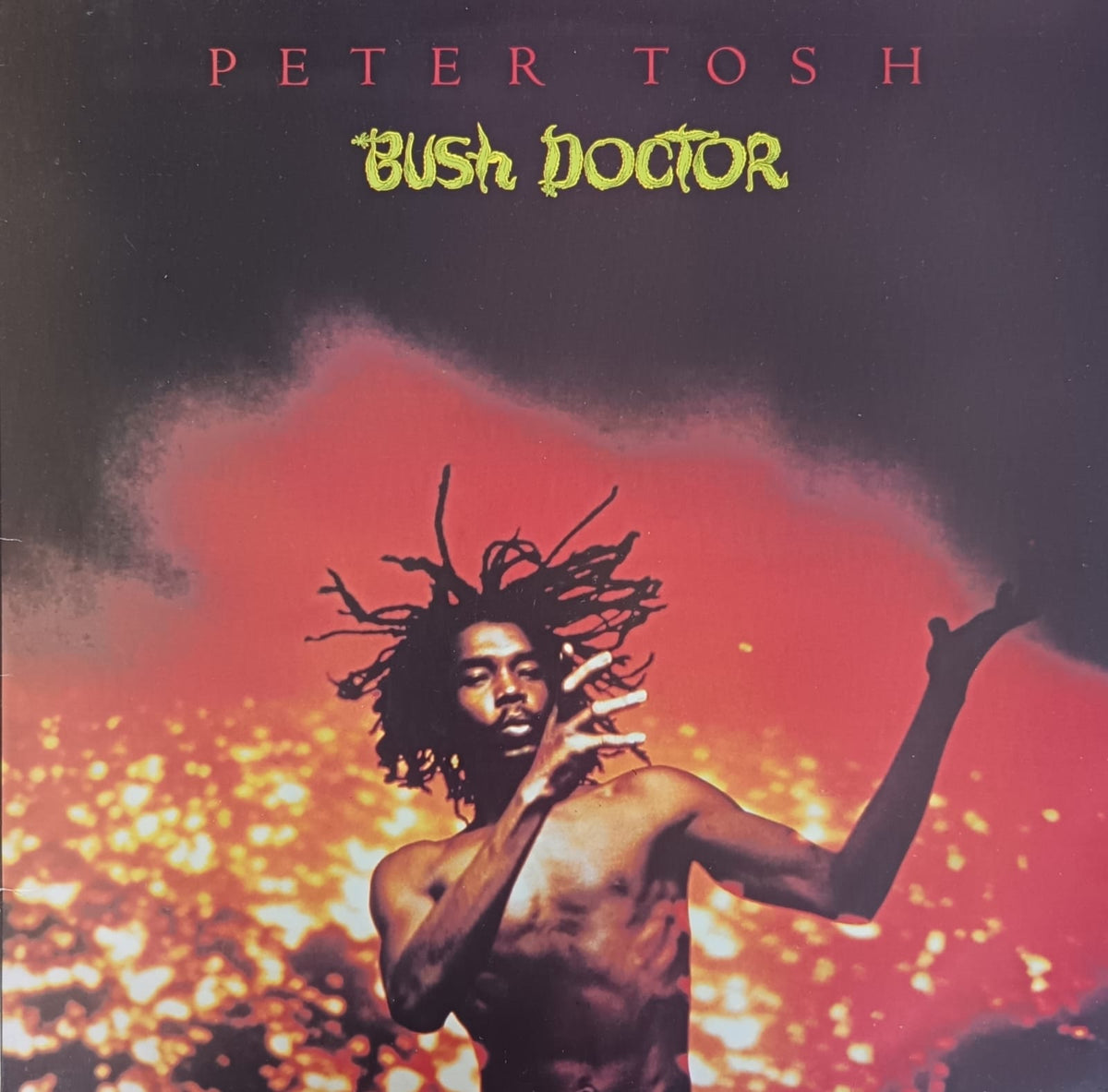 Peter Tosh – Bush Doctor