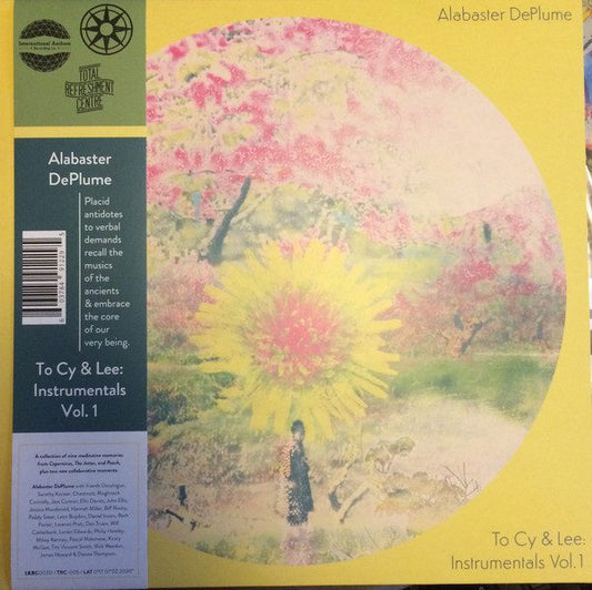 Alex and the City Crew - Say What Say Who 12"