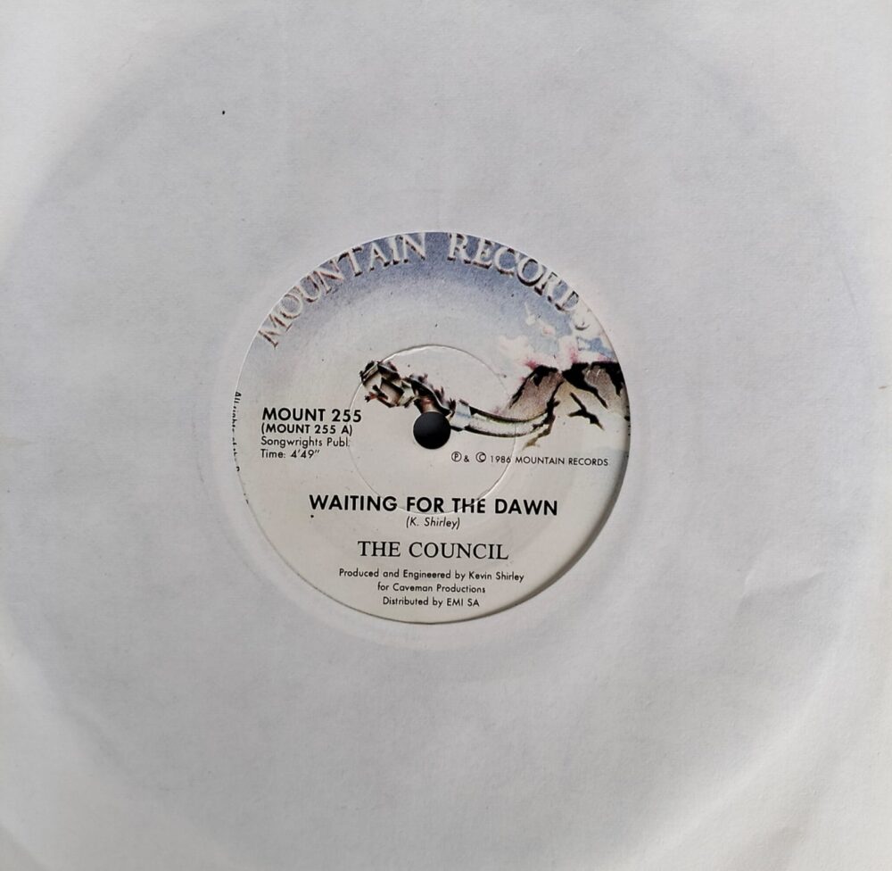 The Council - Waiting For The Dawn 7”